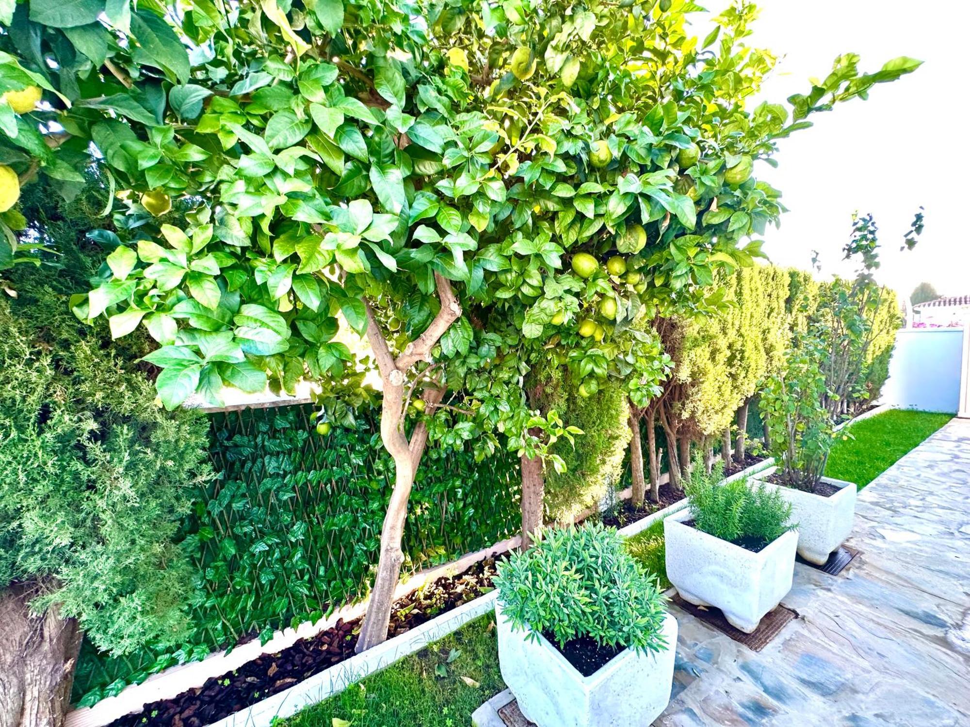 Villa Casacara Marbella Beachside Costabella -Spain Extérieur photo